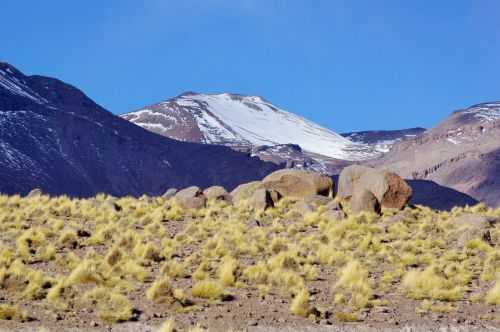 TREKKING NEL DESERTO DI ATACAMA 2015